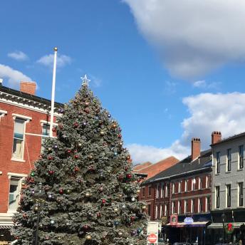 Downtown Holiday Season 