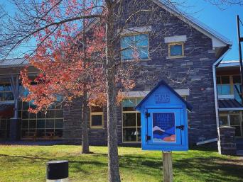 Little Free Library in front of Autumn tree and brick building