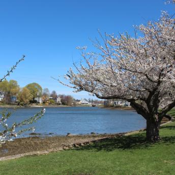 South Mill Pond